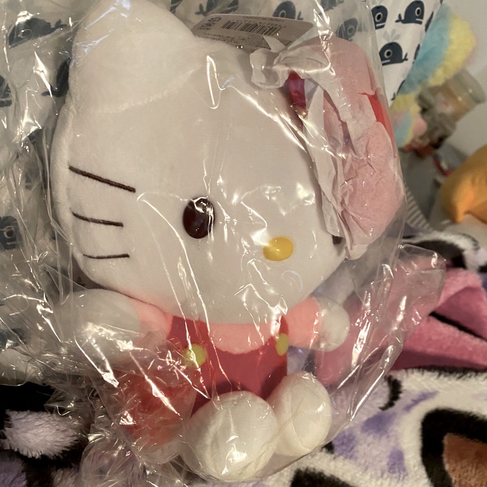 Hello Kitty Plushie